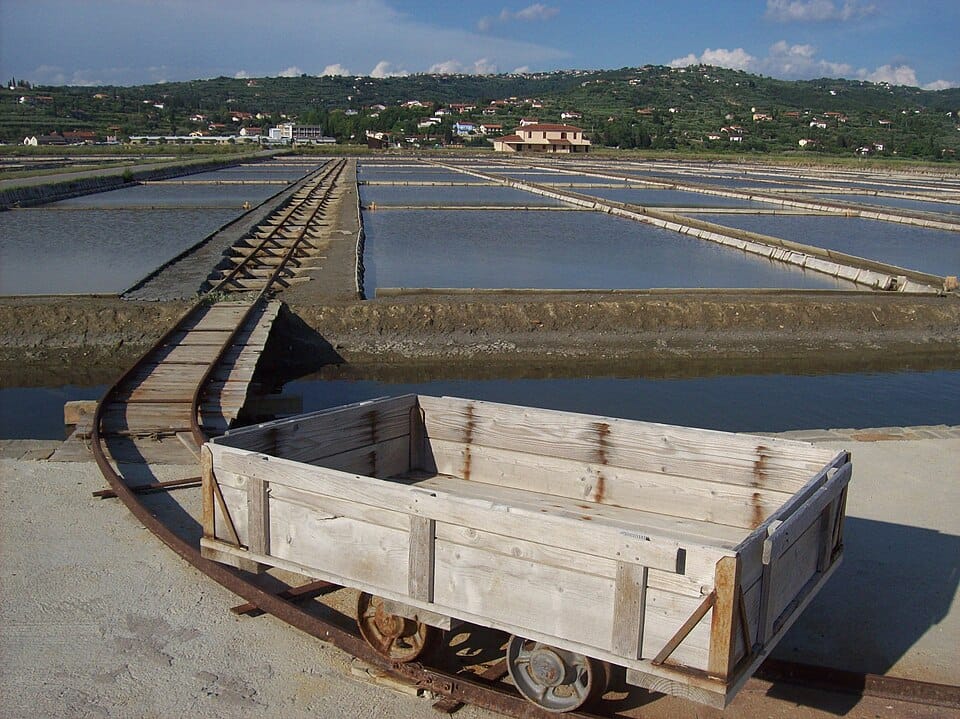Sečovlje Salina Nature Park