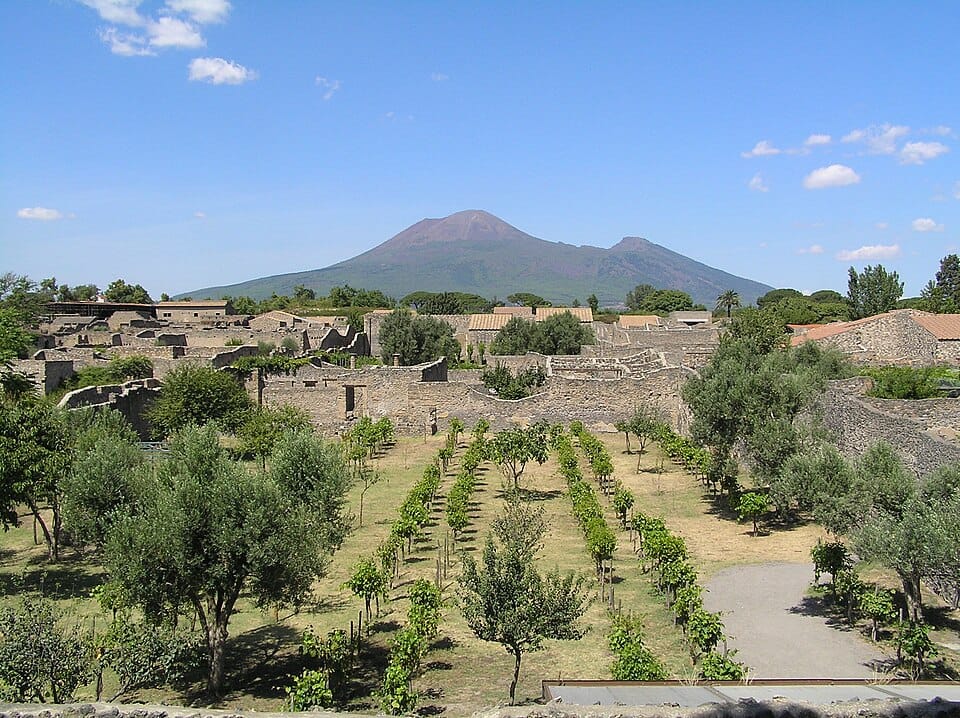 Garden of the Fugitives