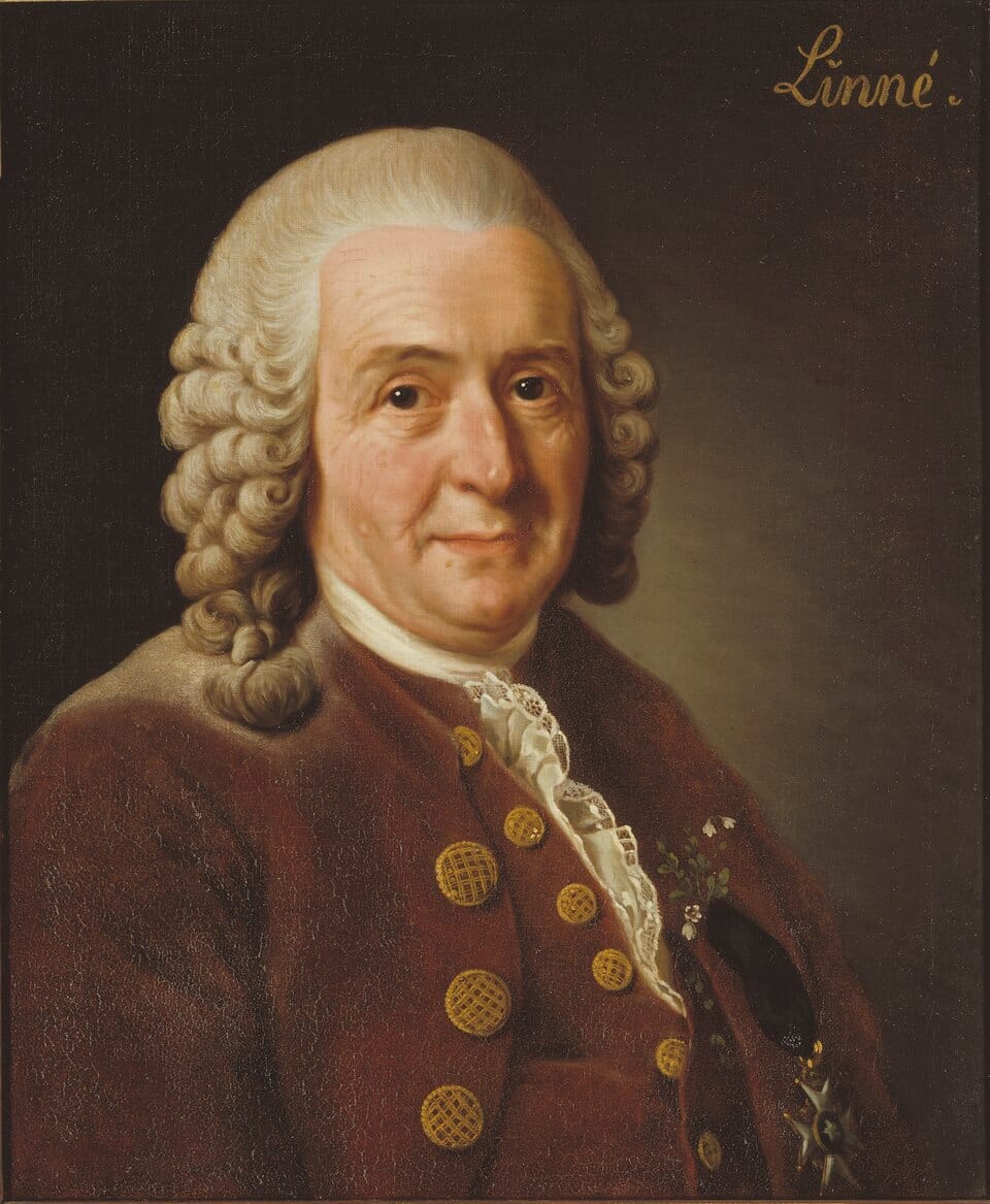 Linnaeus Garden and Museum